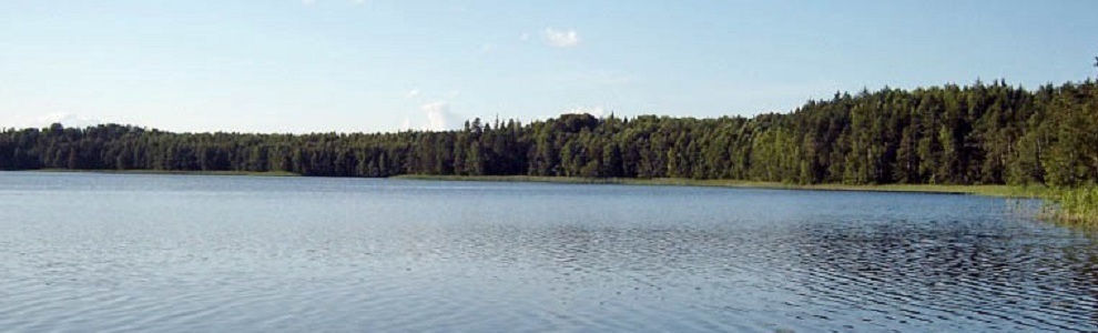 Озеро Лисиное (Республика Марий Эл)