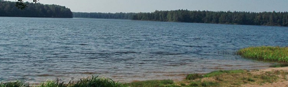 Озеро Молевое (Республика Марий Эл)