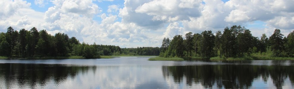 Озеро Свято (Нижегородская область)