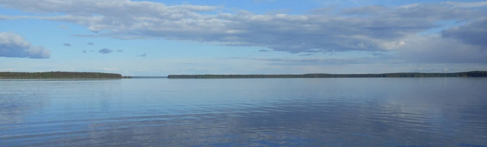 Озеро Кожозеро (Архангельская область)