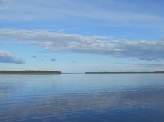 Озеро Кожозеро (Архангельская область)