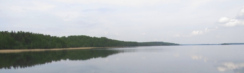 Озеро Кончозеро (Республика Карелия)