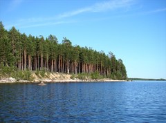 Озеро Выгозеро (Республика Карелия, Сегежский район)