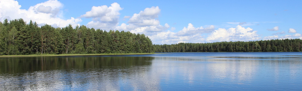 Озеро Лакшозеро (Республика Карелия)