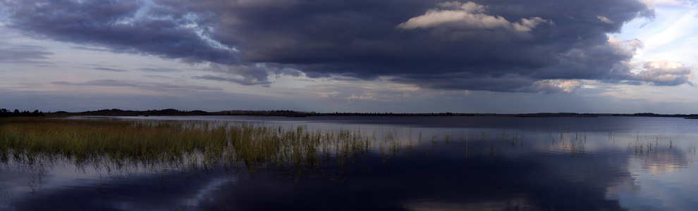 Озеро Вялье (Ленинградская область)