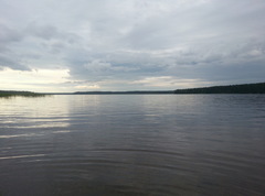 Озеро Высокинское (Ленинградская область)