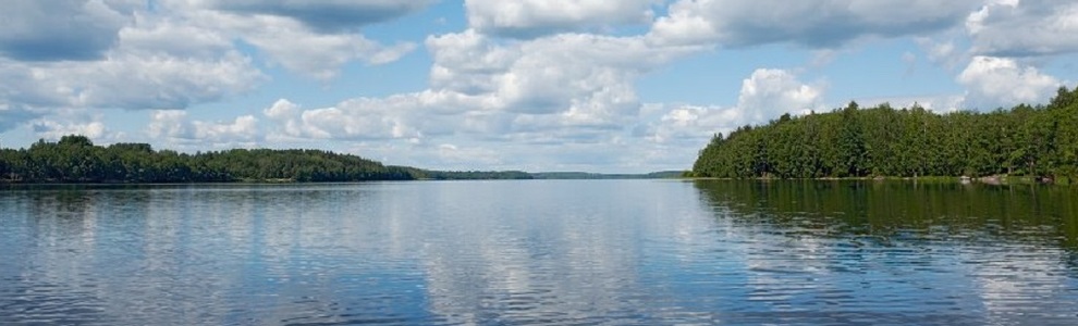 Озеро Белое (Ленинградская облатсь)