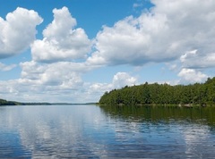 Озеро Белое (Ленинградская облатсь)