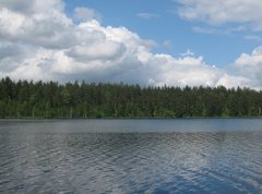 Озеро Щучье (город Санкт-Петербург)