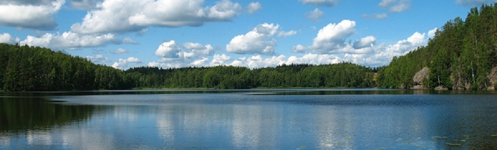 Рыбалка и отдых на озере Ястребиное в Ленинградской области