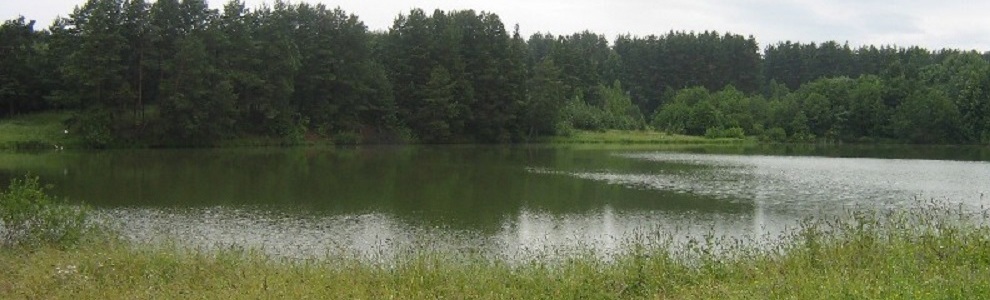 Озеро Ахмановское  (Кировская область, Пижанский район)