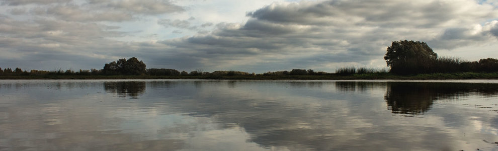 Озеро Мячино (Новгородская область)