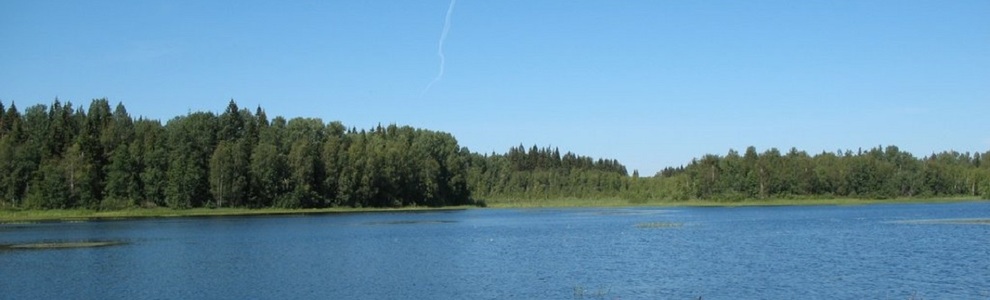 Озеро Саминское (Новгородская область)