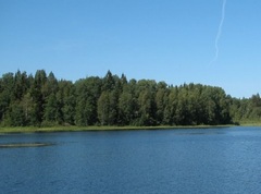 Озеро Саминское (Новгородская область)