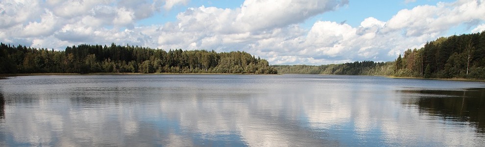 Озеро Ужин (Новгородская область)
