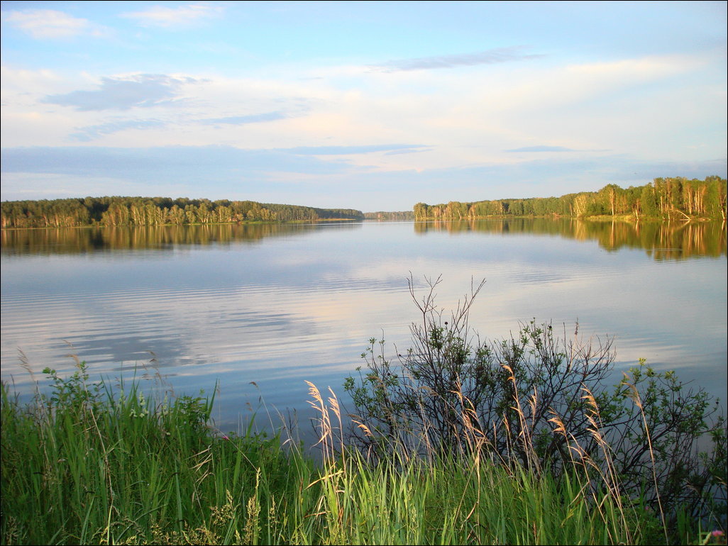 Фотографии область курганская область