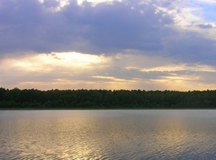 Озеро Данилово (Новосибирская область)