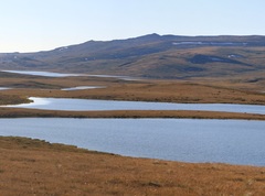 Озеро Укок (Республика Алтай)