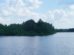 Озеро Рой (Нижегородская область)