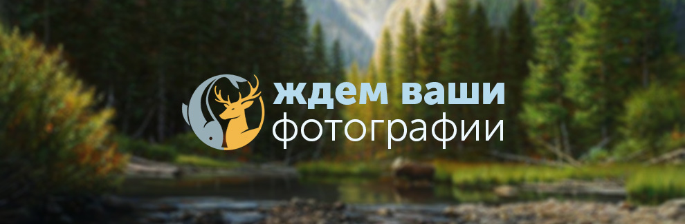 Рыбалка в Челябинской области: лучшие места и советы 