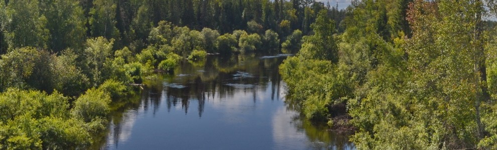 Река Демьянка (Омская область, Тюменская область)