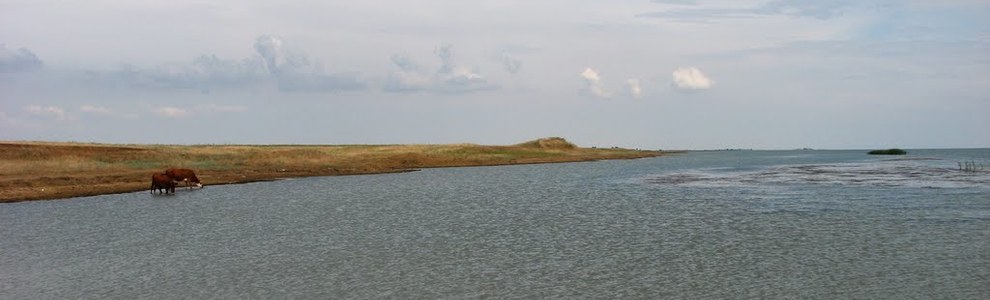 Рыбалка и отдых на Чограйском водохранилище Ставропольского края и Республики Калмыкия