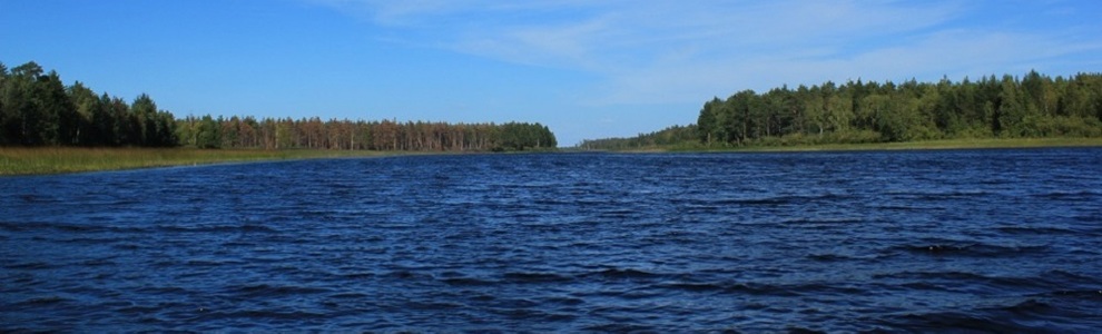 Озеро Воже  (Вологодская, Архангельская области)