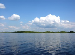 Озеро Ильмень (Новгородская область)