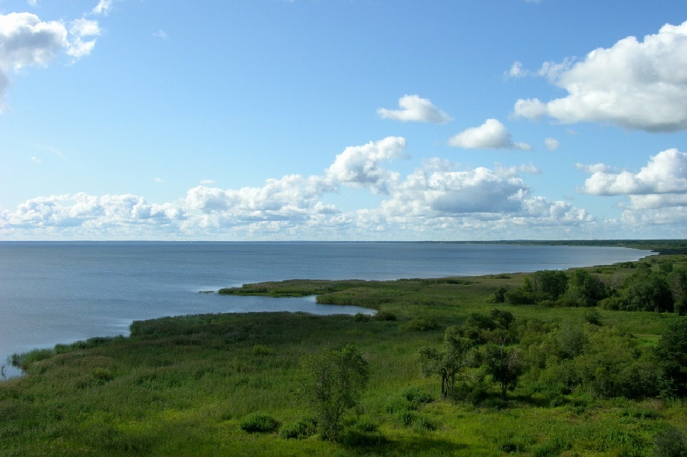 Чудское озеро ленинградская область. Чудское озеро. Чудское озеро Эстония. Чудское озеро Псков. Чудское (Чухломское) озеро.